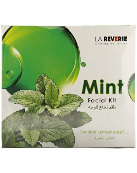 Mint Facial Kit