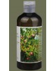 Tea Seed Shampoo